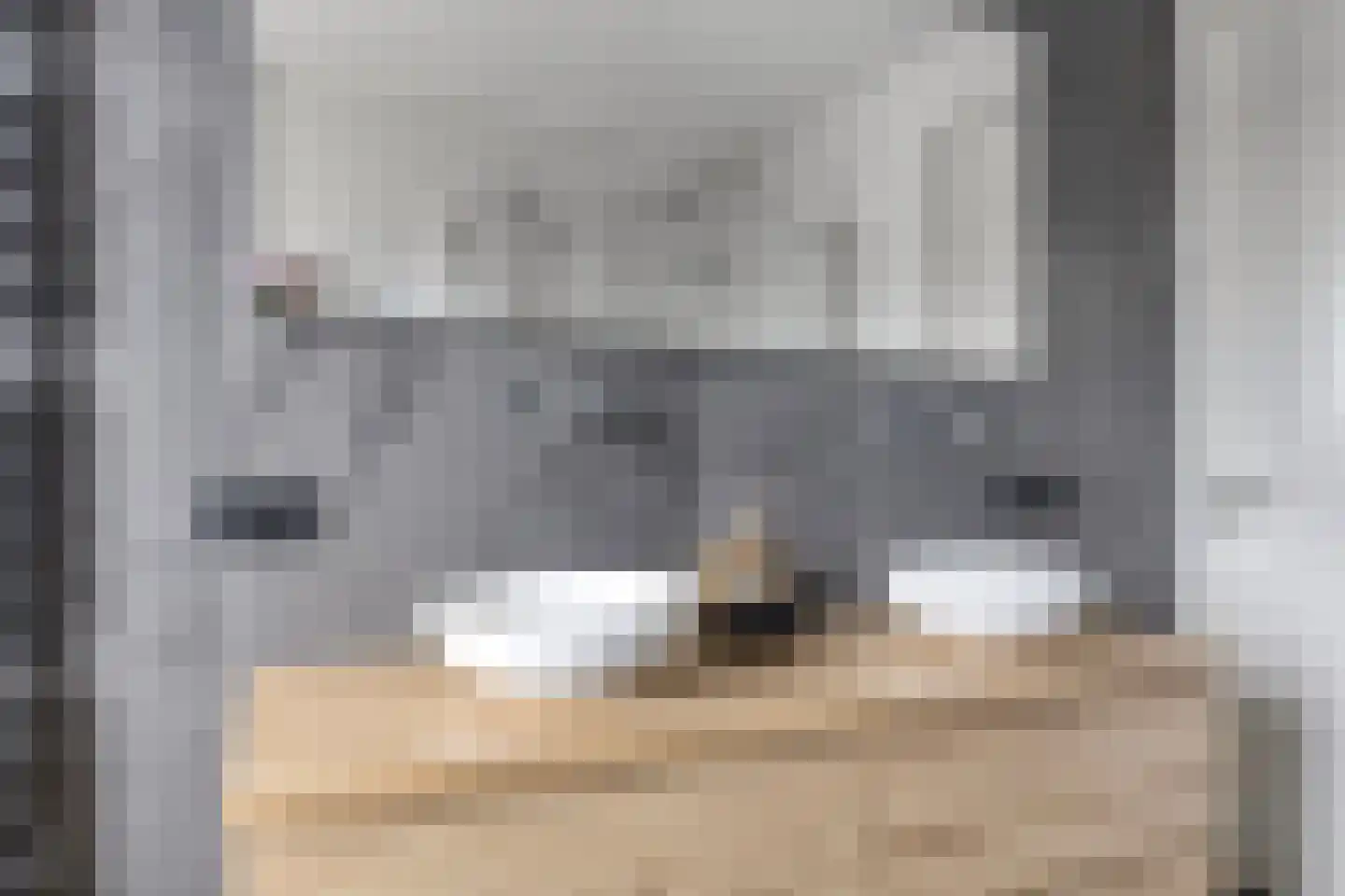Poelsnip 11 Bedum thumbnail 28