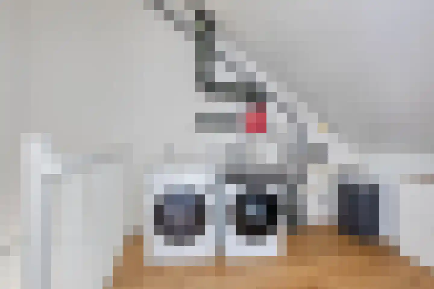 Poelsnip 11 Bedum thumbnail 29