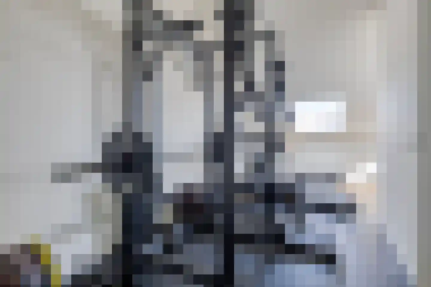 Poelsnip 11 Bedum thumbnail 31