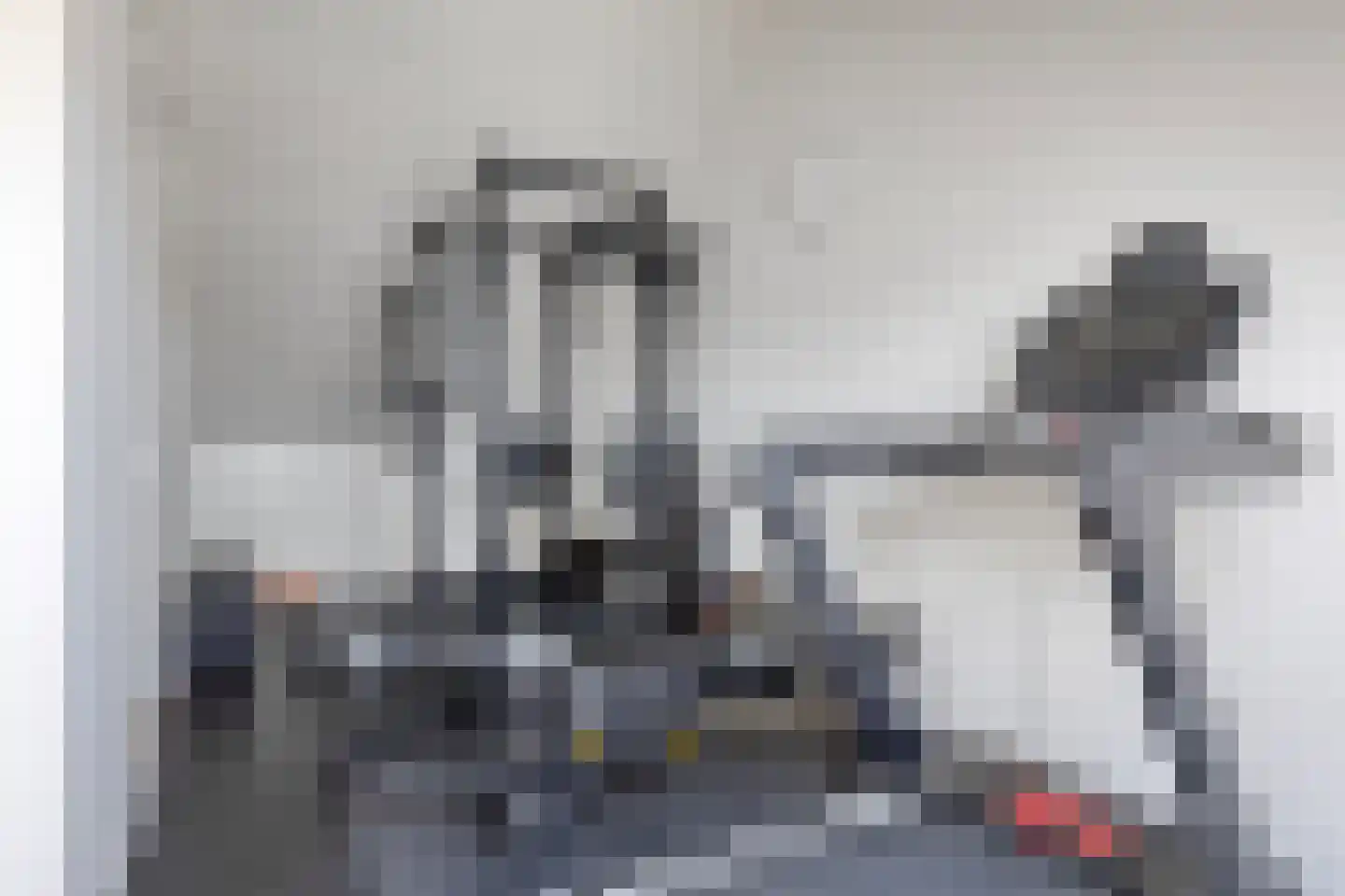 Poelsnip 11 Bedum thumbnail 32
