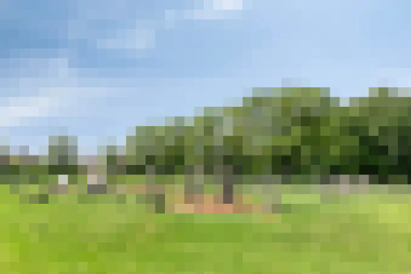Poelsnip 11 Bedum thumbnail 37