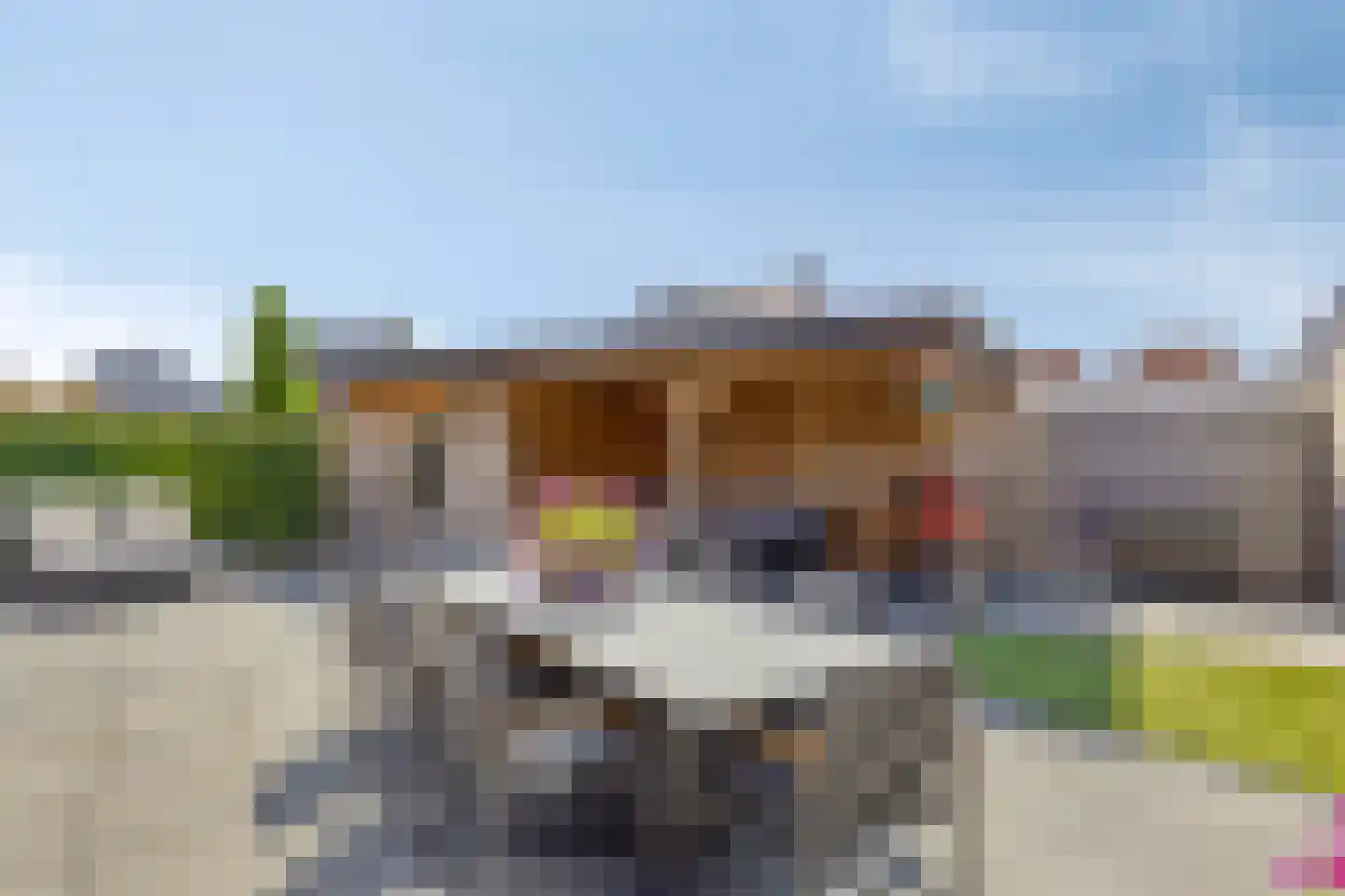 Poelsnip 11 Bedum thumbnail 4