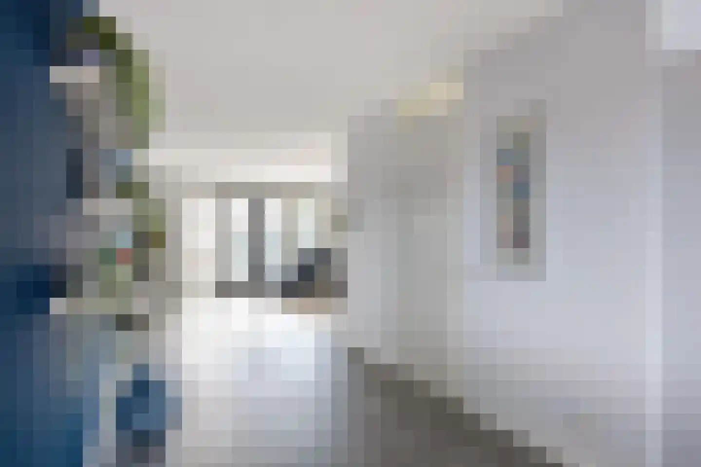 Poelsnip 13 Bedum thumbnail 14