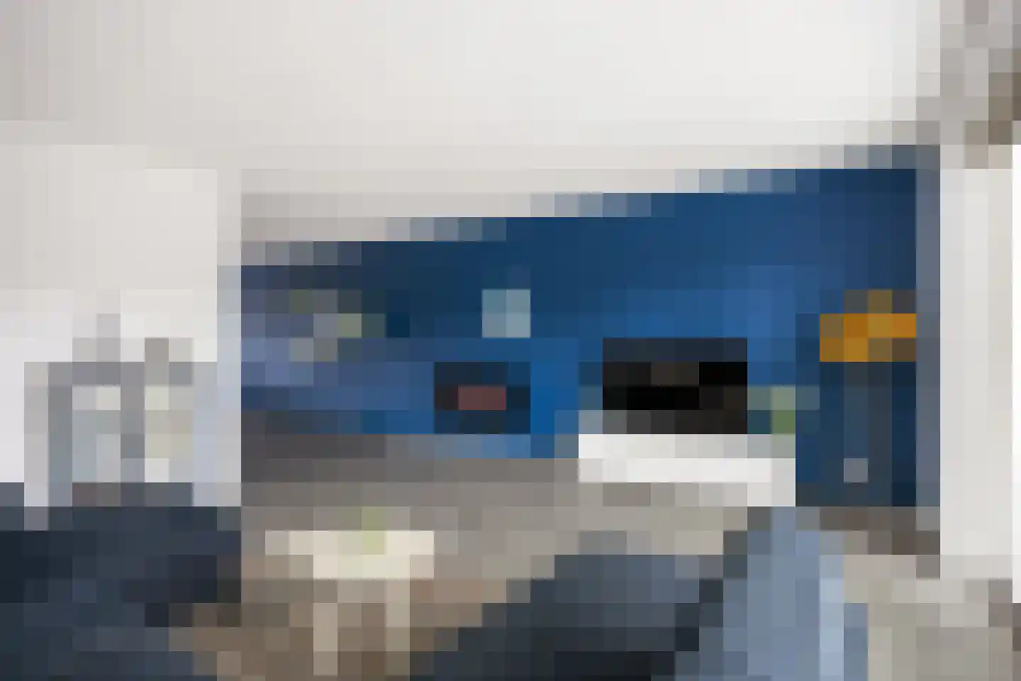 Poelsnip 13 Bedum thumbnail 19