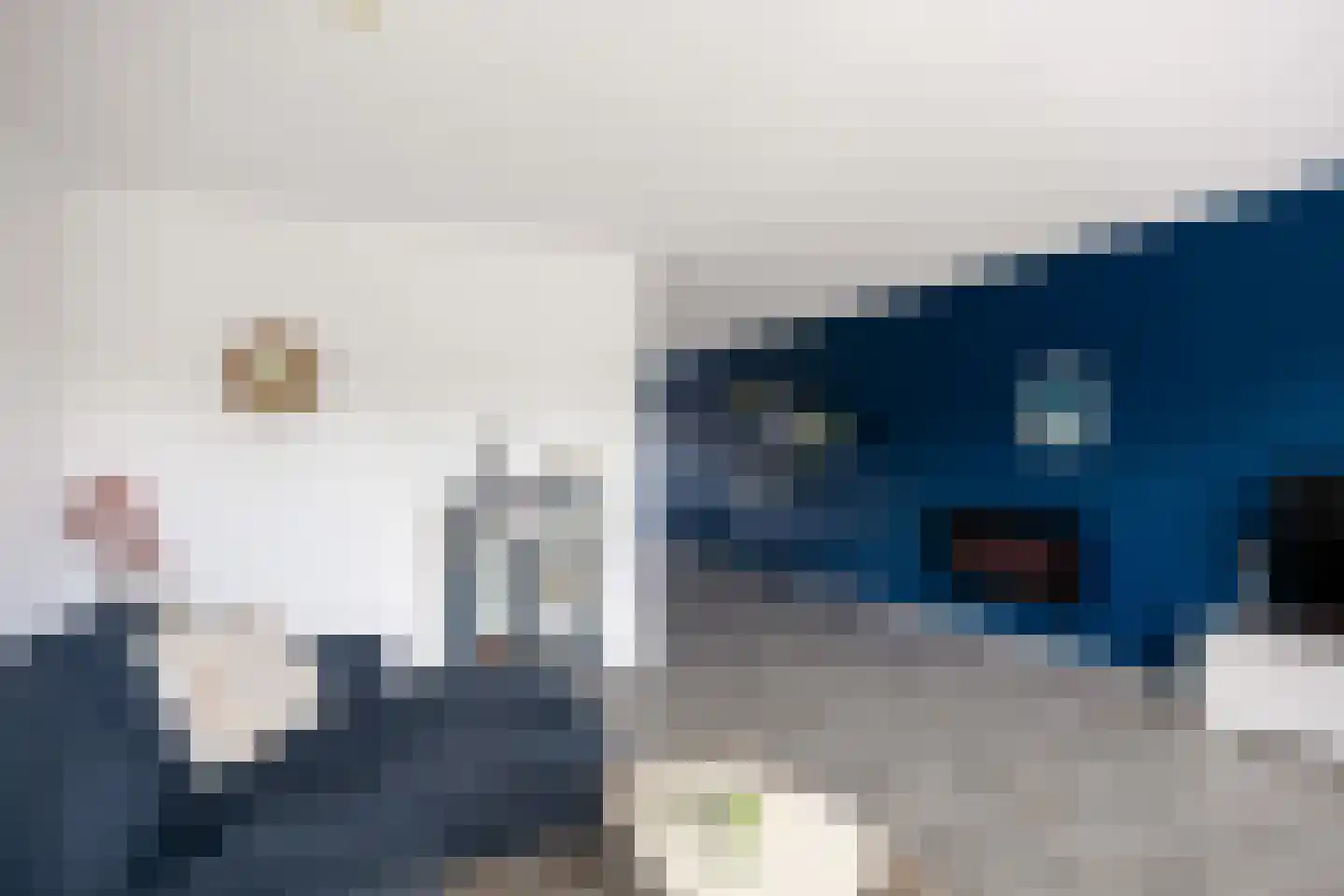 Poelsnip 13 Bedum thumbnail 20