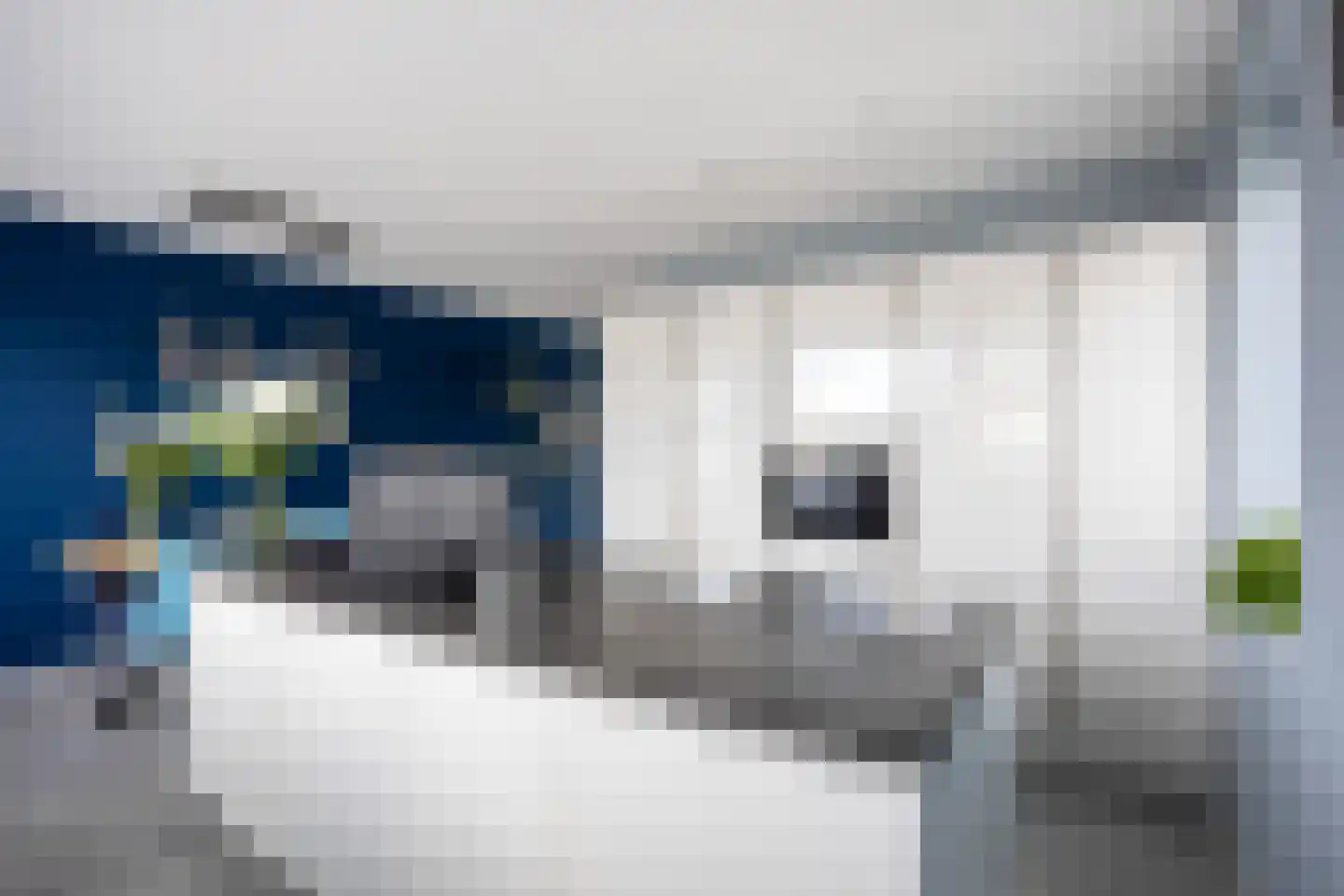 Poelsnip 13 Bedum thumbnail 27