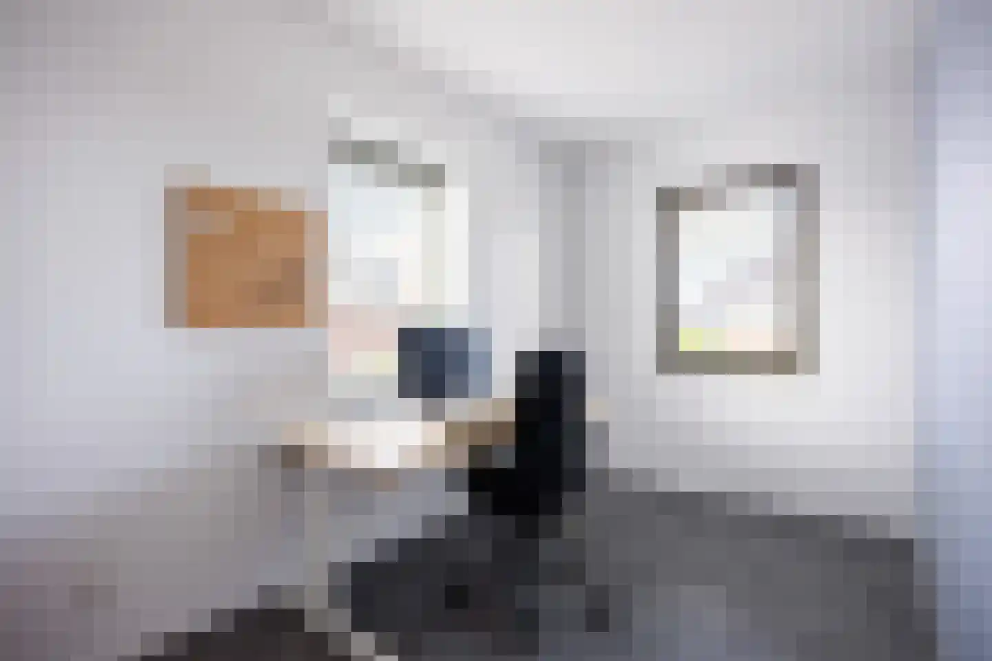 Poelsnip 13 Bedum thumbnail 33