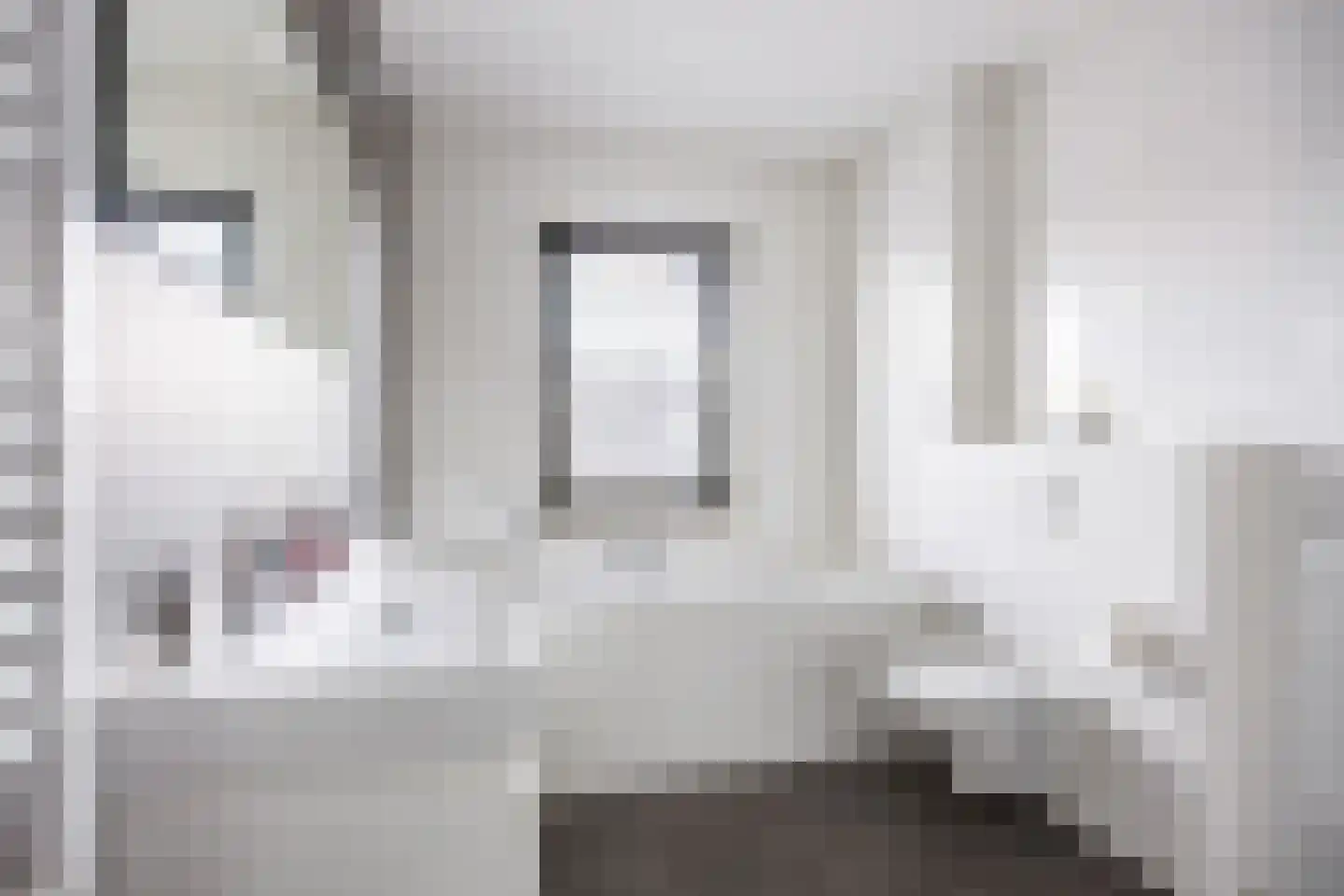 Poelsnip 13 Bedum thumbnail 38