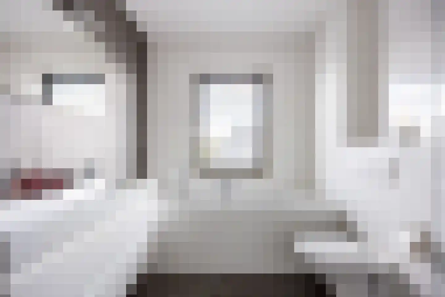 Poelsnip 13 Bedum thumbnail 39