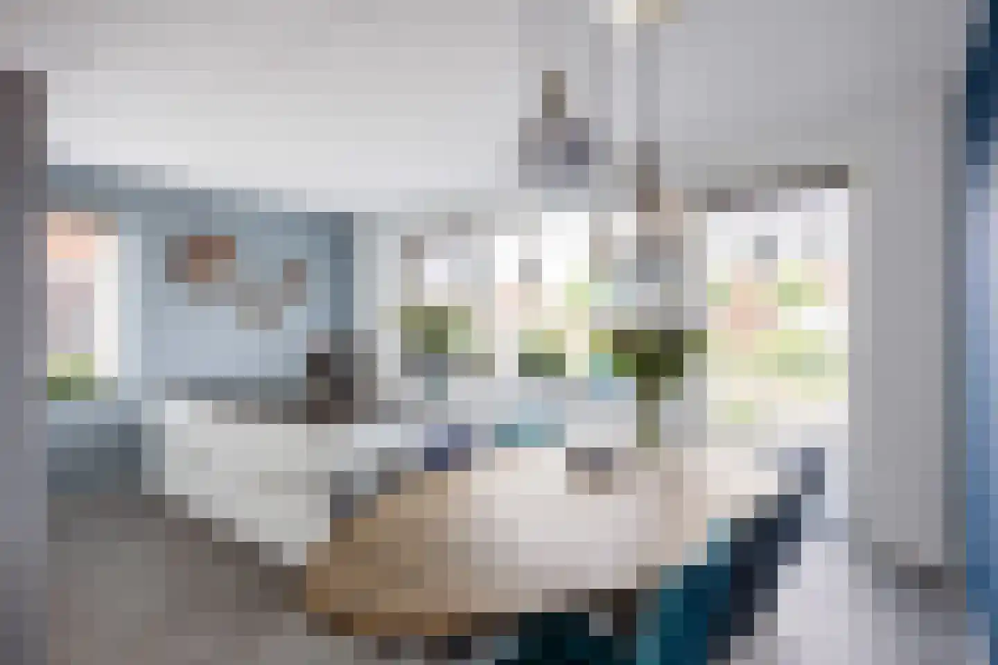 Poelsnip 13 Bedum thumbnail 4
