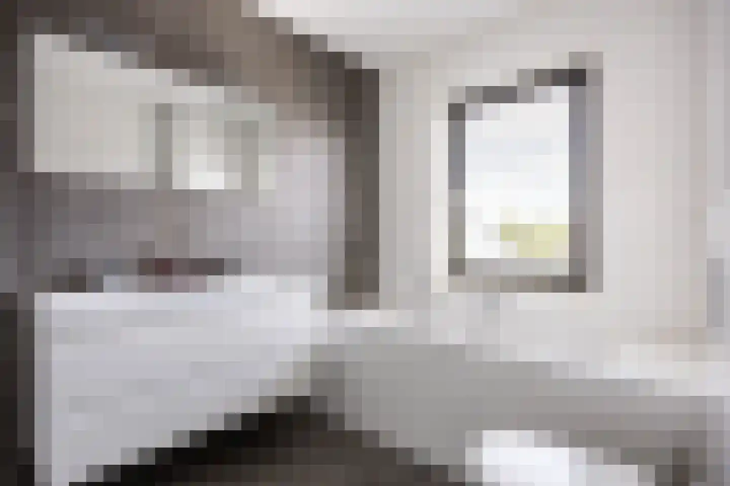 Poelsnip 13 Bedum thumbnail 40