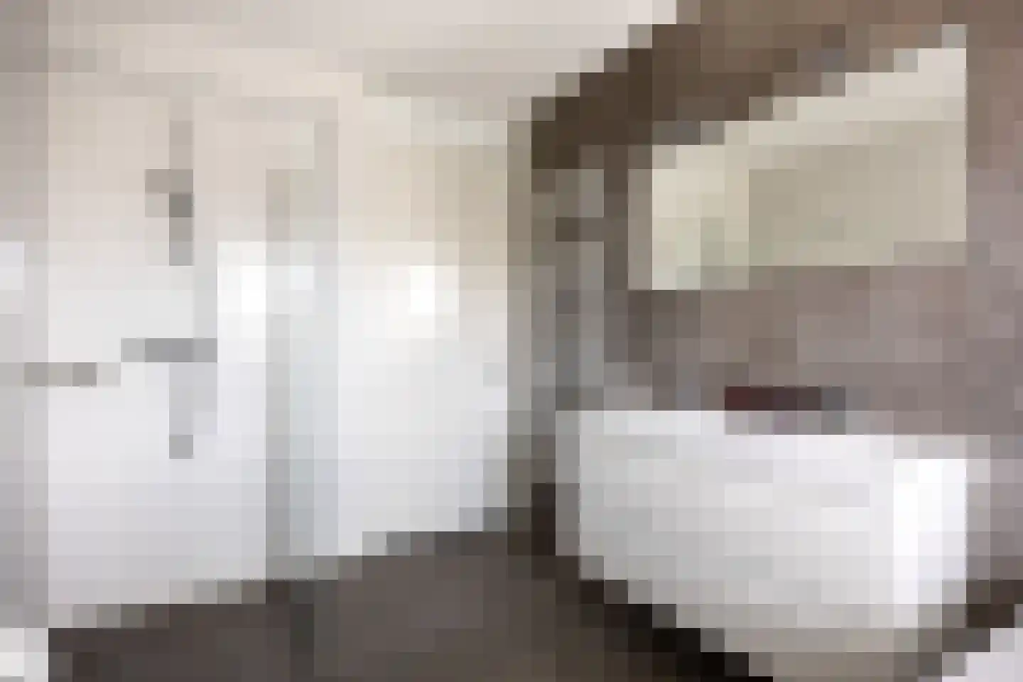 Poelsnip 13 Bedum thumbnail 41