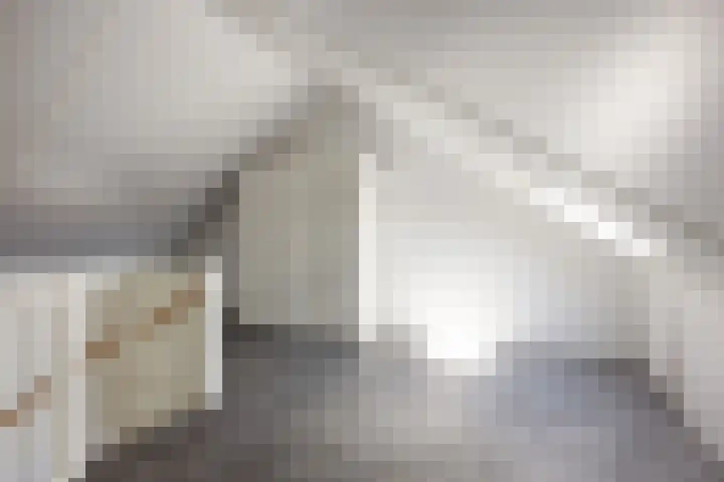 Poelsnip 13 Bedum thumbnail 44