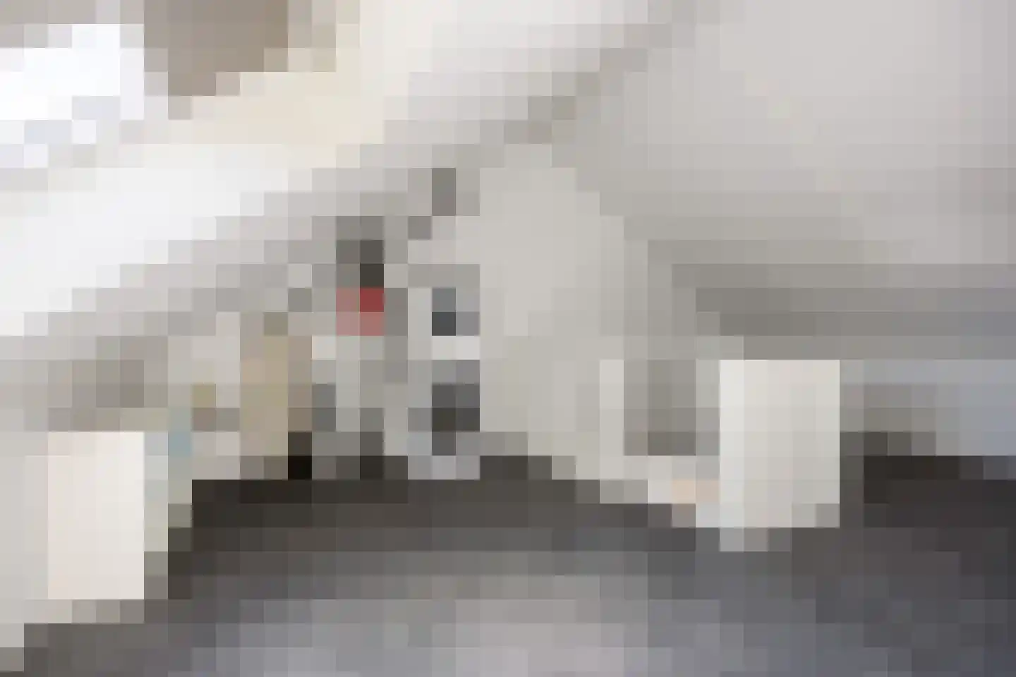 Poelsnip 13 Bedum thumbnail 45