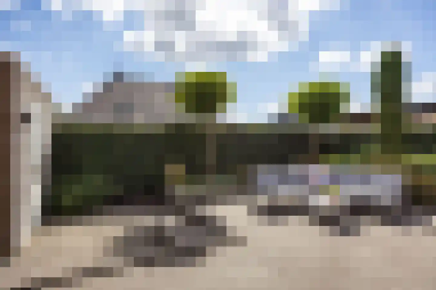 Poelsnip 13 Bedum thumbnail 47