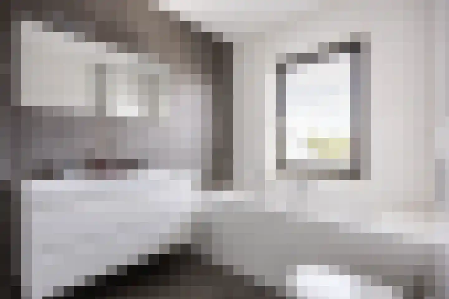 Poelsnip 13 Bedum thumbnail 5