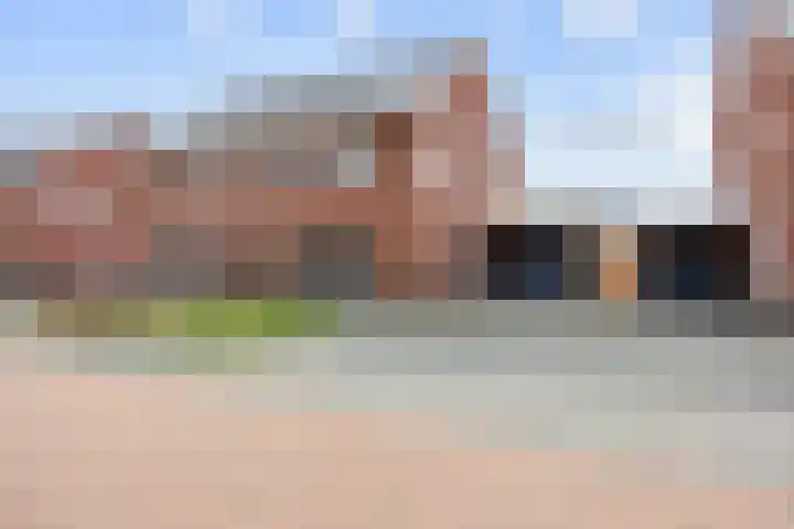 Poelsnip 17 Bedum