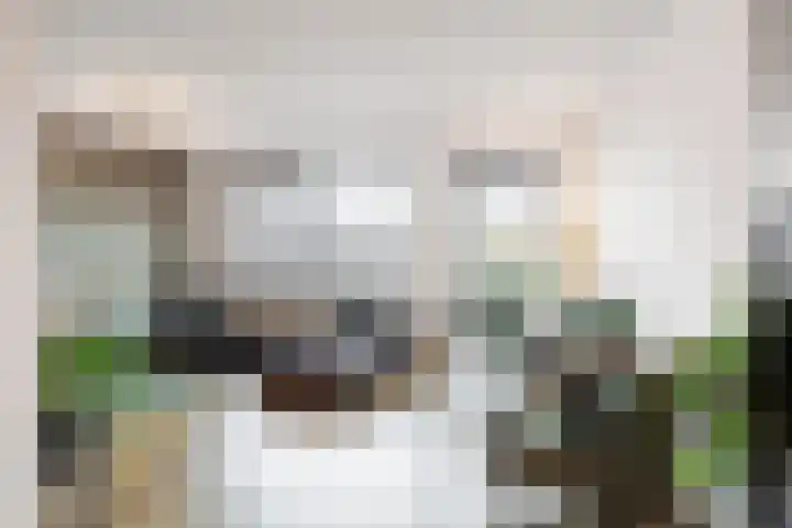 Poelsnip 17 Bedum thumbnail 10