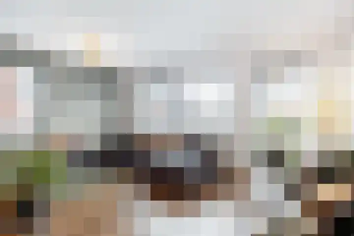Poelsnip 17 Bedum thumbnail 11