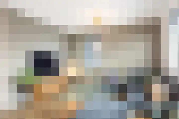 Poelsnip 17 Bedum thumbnail 14