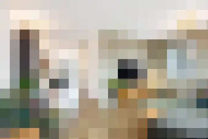 Poelsnip 17 Bedum thumbnail 15