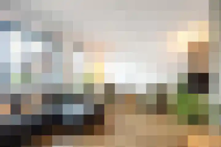 Poelsnip 17 Bedum thumbnail 16