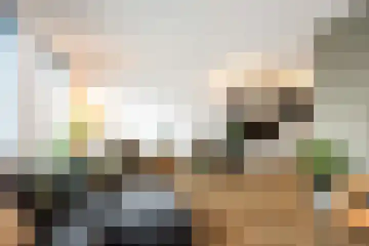 Poelsnip 17 Bedum thumbnail 17