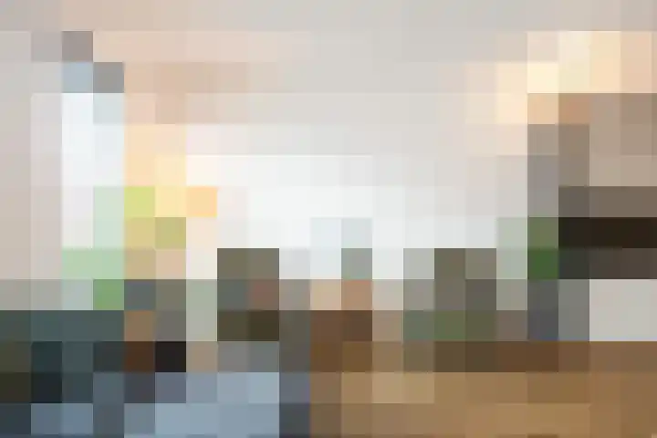 Poelsnip 17 Bedum thumbnail 18