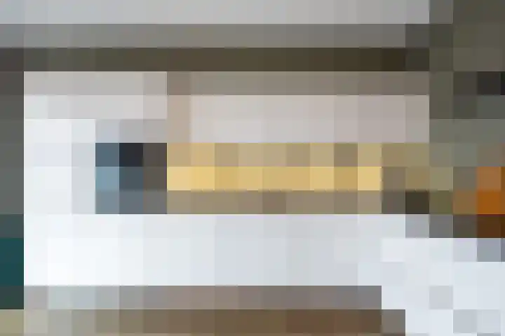 Poelsnip 17 Bedum thumbnail 24