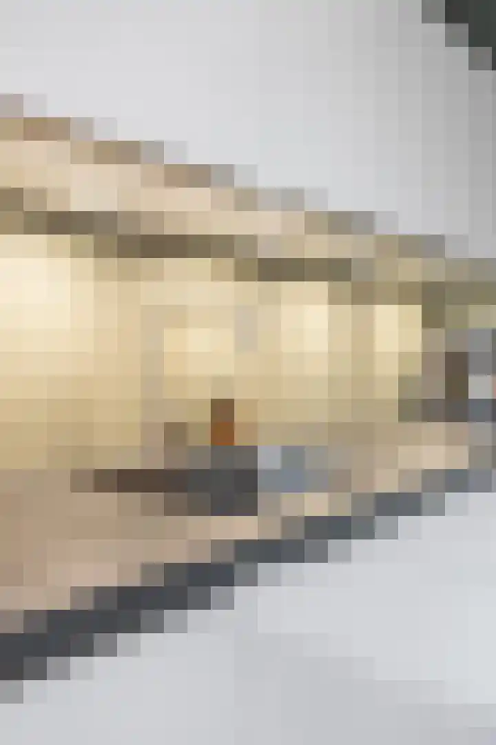 Poelsnip 17 Bedum thumbnail 27