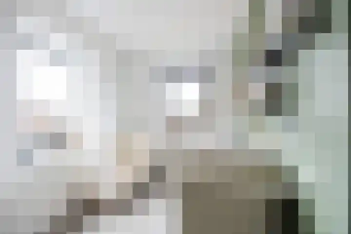 Poelsnip 17 Bedum thumbnail 42