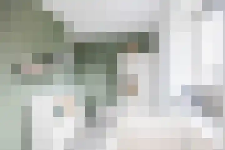 Poelsnip 17 Bedum thumbnail 43