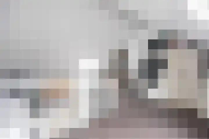 Poelsnip 17 Bedum thumbnail 44