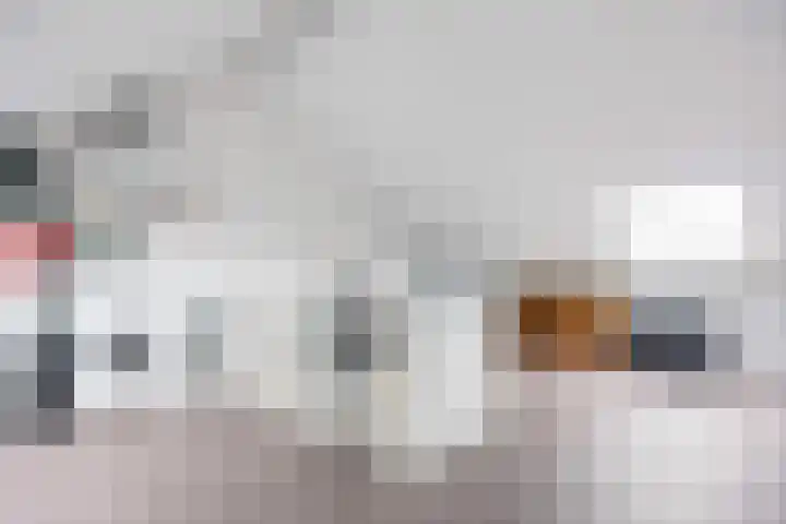 Poelsnip 17 Bedum thumbnail 45