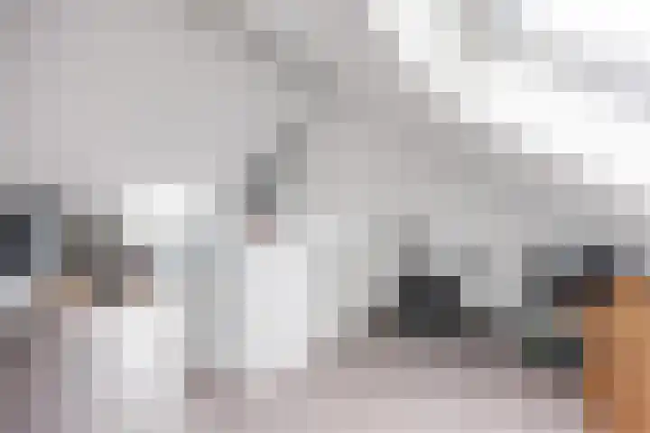 Poelsnip 17 Bedum thumbnail 46