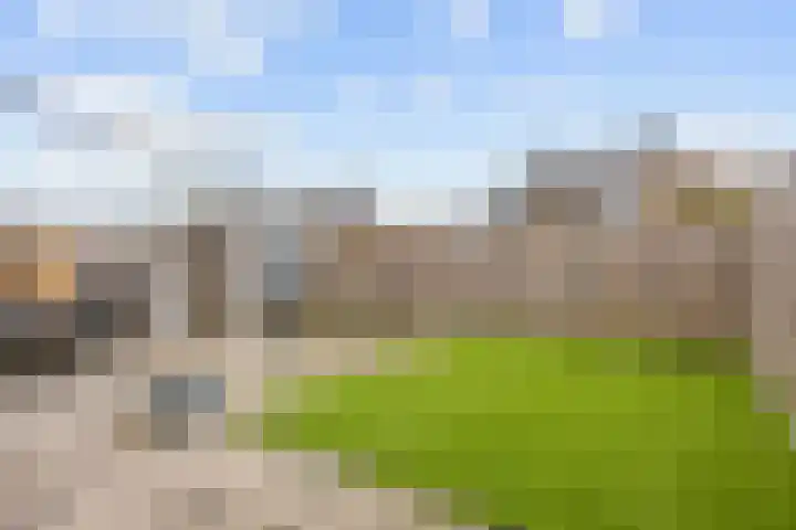 Poelsnip 17 Bedum thumbnail 50