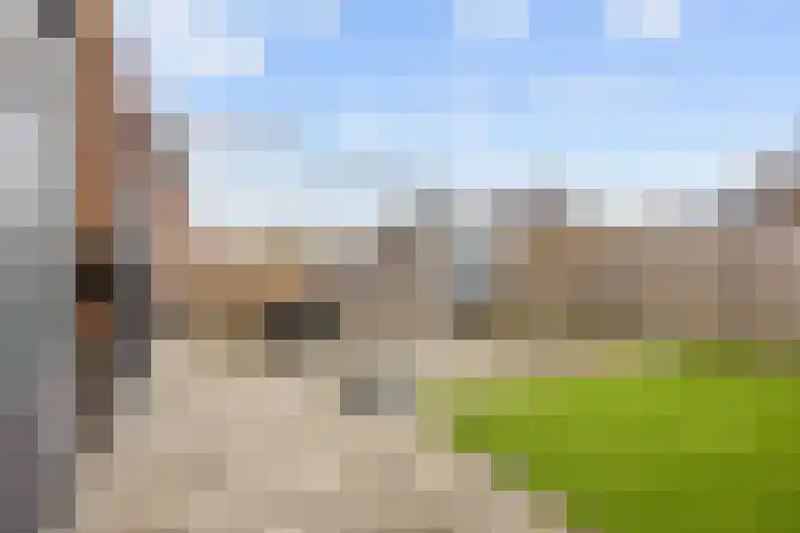 Poelsnip 17 Bedum thumbnail 51