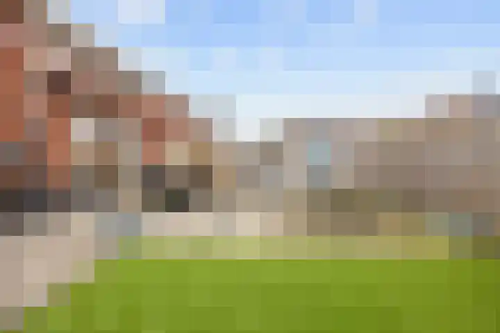Poelsnip 17 Bedum thumbnail 52