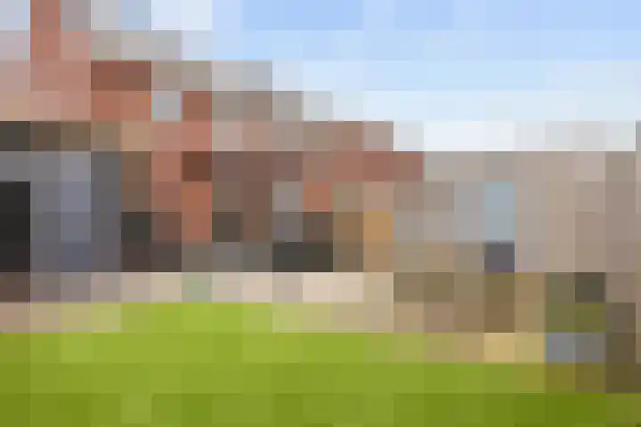 Poelsnip 17 Bedum thumbnail 53