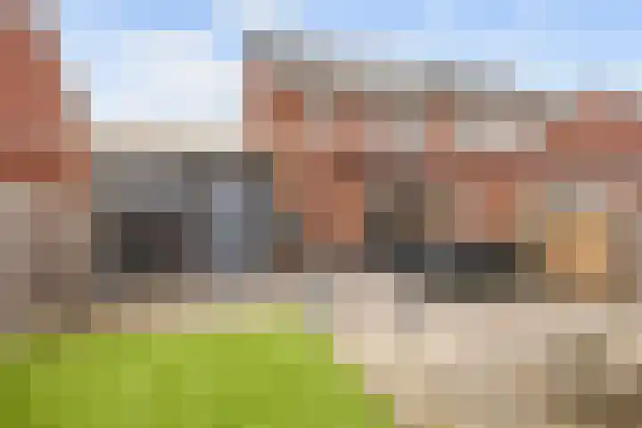 Poelsnip 17 Bedum thumbnail 54
