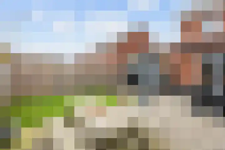 Poelsnip 17 Bedum thumbnail 55