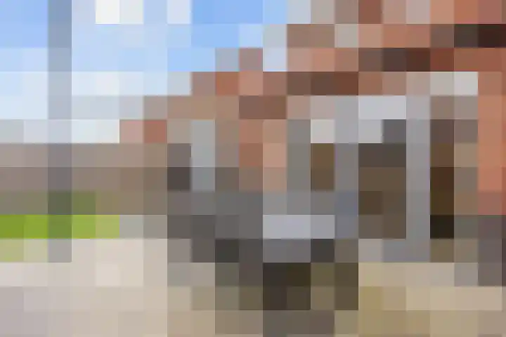 Poelsnip 17 Bedum thumbnail 56