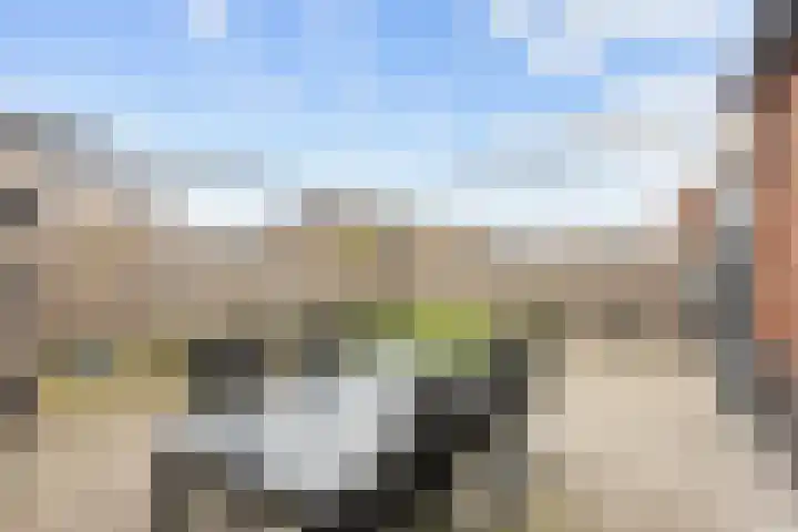 Poelsnip 17 Bedum thumbnail 57