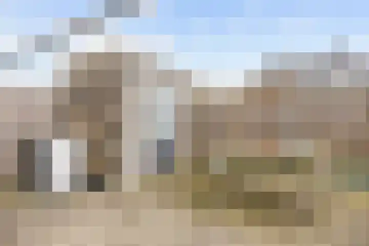 Poelsnip 17 Bedum thumbnail 58