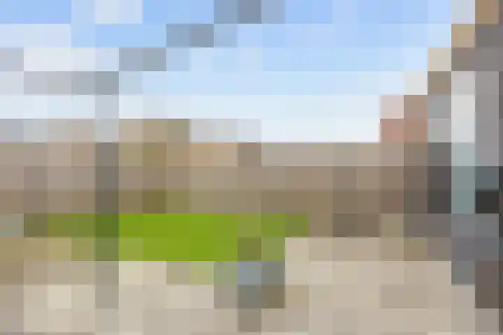 Poelsnip 17 Bedum thumbnail 59
