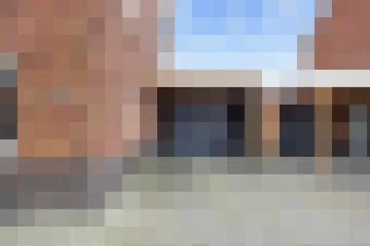 Poelsnip 17 Bedum thumbnail 6