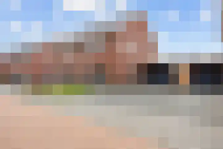 Poelsnip 17 Bedum thumbnail 60
