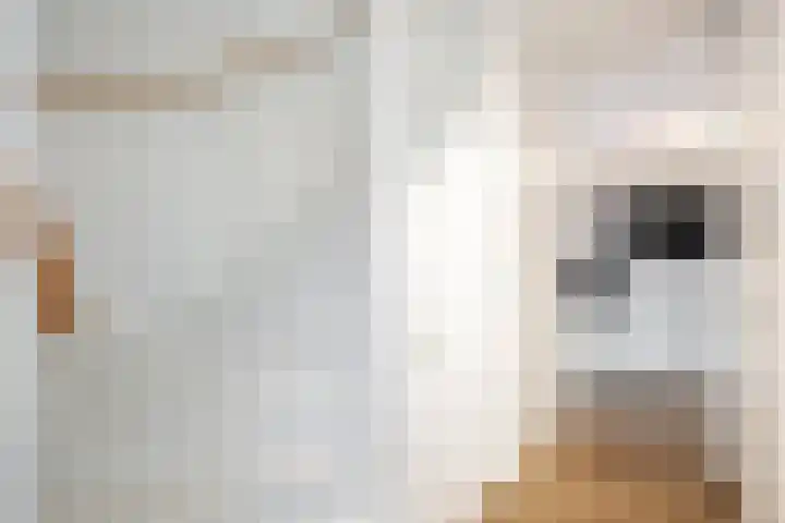 Poelsnip 17 Bedum thumbnail 8