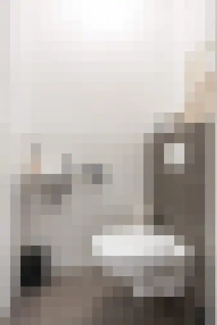 Poelsnip 17 Bedum thumbnail 9