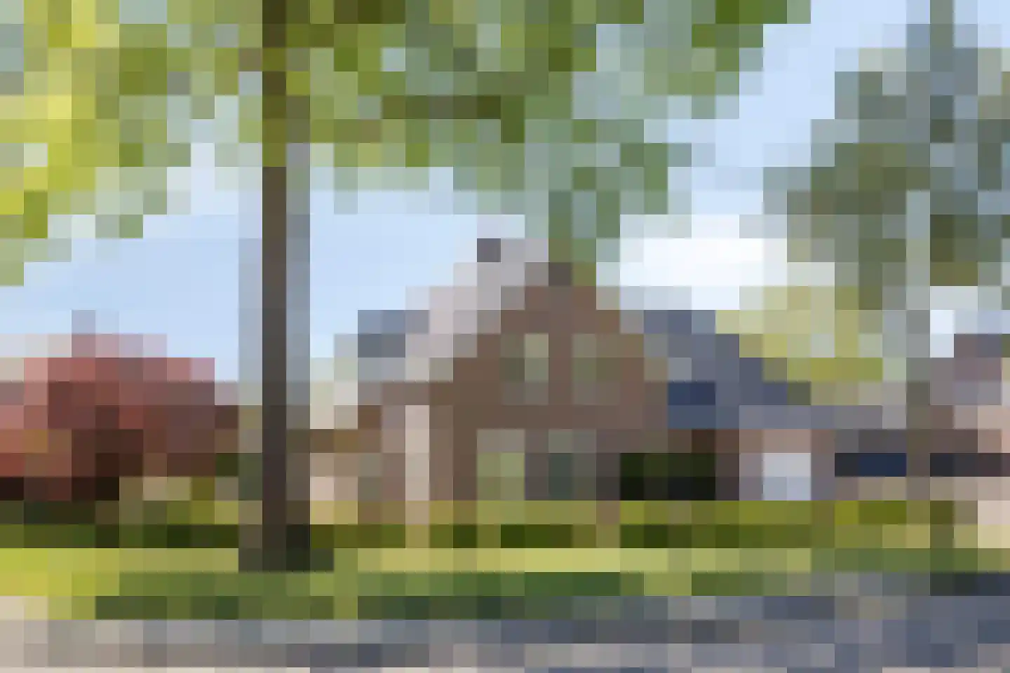 Poelsnip 44 in Budel-Schoot